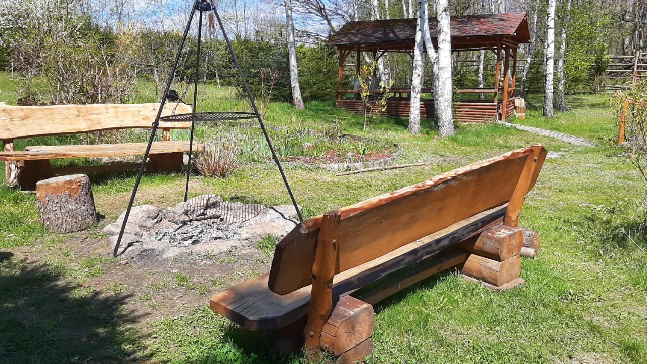 Вілла Chata Gorska Sowa Dla 12 Osob, 4 Sypialnie,Salon Z Kominkiem Подґужин Екстер'єр фото