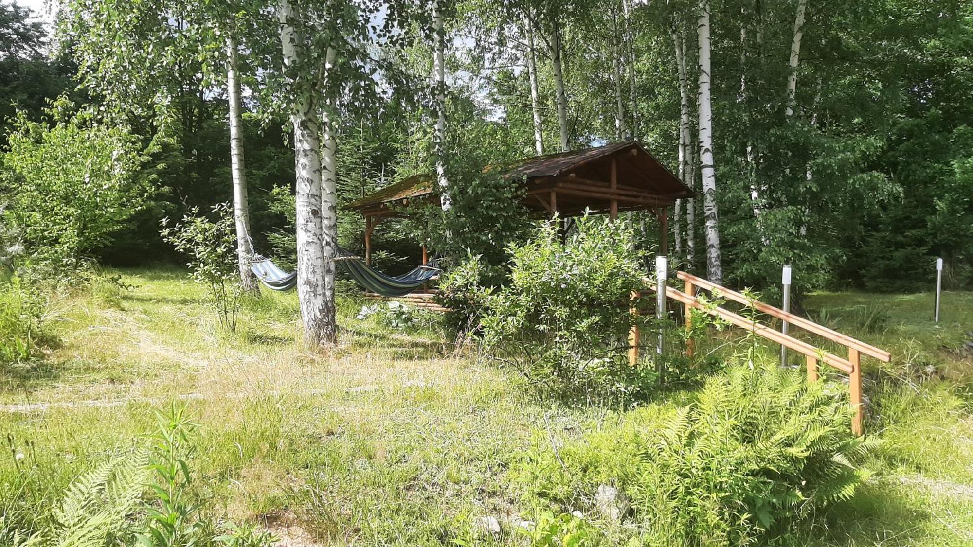 Вілла Chata Gorska Sowa Dla 12 Osob, 4 Sypialnie,Salon Z Kominkiem Подґужин Екстер'єр фото
